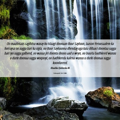 Picture 06 - Sekaryaah 14:4 SOM - Oo maalintaas cagihiisu waxay ku istaagi doonaan - Bible Verse Picture