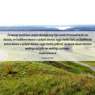 Picture 06 - Sekaryaah 14:8 SOM - Oo waxay maalintaas noqon doontaa inay biyo noolu - Bible Verse Picture