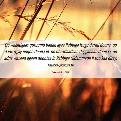 Picture 06 - Sekaryaah 2:11 SOM - Oo wakhtigaas quruumo badan ayaa Rabbiga isugu - Bible Verse Picture