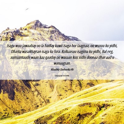 Picture 06 - Sekaryaah 3:4 SOM - Isagu wuu jawaabay oo la hadlay kuwii isaga hor - Bible Verse Picture