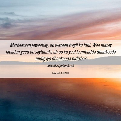 Picture 06 - Sekaryaah 4:11 SOM - Markaasaan jawaabay, oo waxaan isagii ku idhi, - Bible Verse Picture