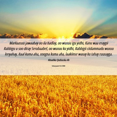 Picture 06 - Sekaryaah 4:6 SOM - Markaasuu jawaabay oo ila hadlay, oo wuxuu igu - Bible Verse Picture