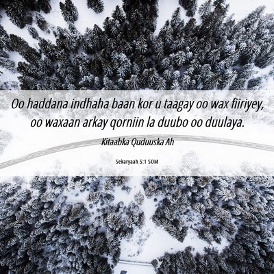 Picture 06 - Sekaryaah 5:1 SOM - Oo haddana indhaha baan kor u taagay oo wax - Bible Verse Picture
