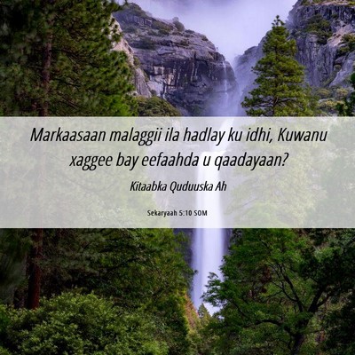 Picture 06 - Sekaryaah 5:10 SOM - Markaasaan malaggii ila hadlay ku idhi, Kuwanu - Bible Verse Picture