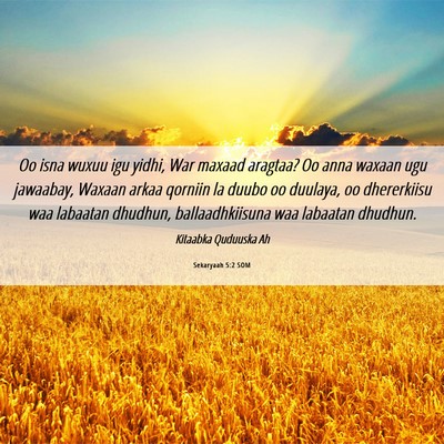 Picture 06 - Sekaryaah 5:2 SOM - Oo isna wuxuu igu yidhi, War maxaad aragtaa? Oo - Bible Verse Picture