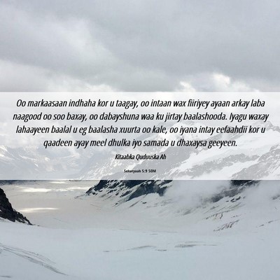 Picture 06 - Sekaryaah 5:9 SOM - Oo markaasaan indhaha kor u taagay, oo intaan wax - Bible Verse Picture