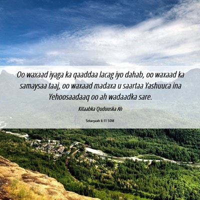 Picture 06 - Sekaryaah 6:11 SOM - Oo waxaad iyaga ka qaaddaa lacag iyo dahab, oo - Bible Verse Picture