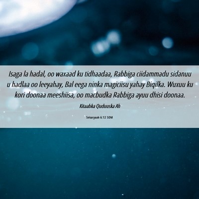 Picture 06 - Sekaryaah 6:12 SOM - Isaga la hadal, oo waxaad ku tidhaadaa, Rabbiga - Bible Verse Picture