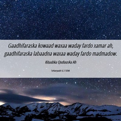 Picture 06 - Sekaryaah 6:2 SOM - Gaadhifaraska kowaad waxaa waday fardo xamar ah, - Bible Verse Picture