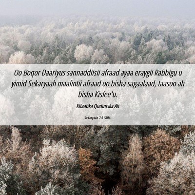 Picture 06 - Sekaryaah 7:1 SOM - Oo Boqor Daariyus sannaddiisii afraad ayaa - Bible Verse Picture