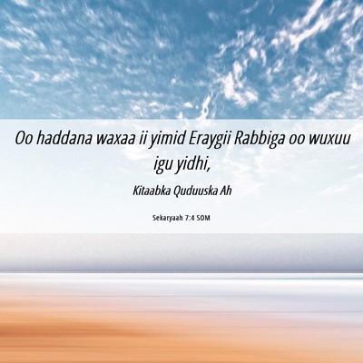 Picture 06 - Sekaryaah 7:4 SOM - Oo haddana waxaa ii yimid Eraygii Rabbiga oo - Bible Verse Picture