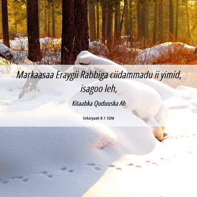 Picture 06 - Sekaryaah 8:1 SOM - Markaasaa Eraygii Rabbiga ciidammadu ii yimid, - Bible Verse Picture
