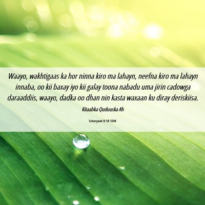 Picture 06 - Sekaryaah 8:10 SOM - Waayo, wakhtigaas ka hor ninna kiro ma lahayn, - Bible Verse Picture