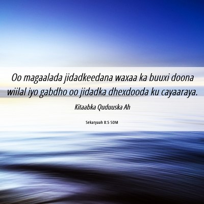 Picture 06 - Sekaryaah 8:5 SOM - Oo magaalada jidadkeedana waxaa ka buuxi doona - Bible Verse Picture