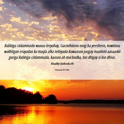 Picture 06 - Sekaryaah 8:9 SOM - Rabbiga ciidammadu wuxuu leeyahay, Gacmihiinnu - Bible Verse Picture