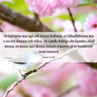 Picture 06 - Sekaryaah 9:14 SOM - Oo Rabbigiina waa lagu arki doonaa korkooda, oo - Bible Verse Picture