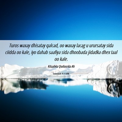 Picture 06 - Sekaryaah 9:3 SOM - Turos waxay dhisatay qalcad, oo waxay lacag u - Bible Verse Picture