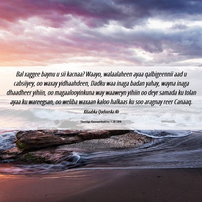 Picture 06 - Sharciga Kunoqoshadiisa 1:28 SOM - Bal xaggee baynu u sii kacnaa? Waayo, walaalaheen - Bible Verse Picture