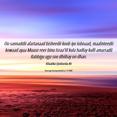 Picture 06 - Sharciga Kunoqoshadiisa 1:3 SOM - Oo sannaddii afartanaad bisheedii koob iyo - Bible Verse Picture