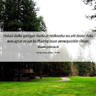 Picture 06 - Sharciga Kunoqoshadiisa 1:35 SOM - Hubaal dadka qarnigan sharka ah midkoodna ma arki - Bible Verse Picture