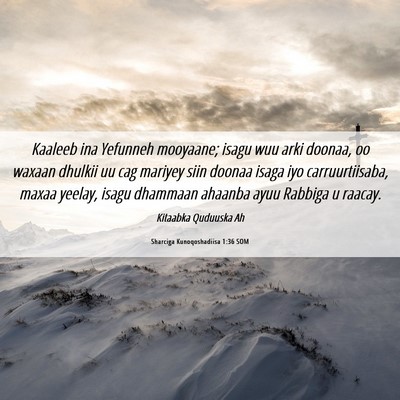 Picture 06 - Sharciga Kunoqoshadiisa 1:36 SOM - Kaaleeb ina Yefunneh mooyaane; isagu wuu arki - Bible Verse Picture