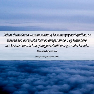 Picture 06 - Sharciga Kunoqoshadiisa 10:3 SOM - Sidaas daraaddeed waxaan sanduuq ka sameeyey qori - Bible Verse Picture