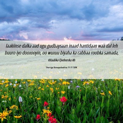 Picture 06 - Sharciga Kunoqoshadiisa 11:11 SOM - laakiinse dalka aad ugu gudbaysaan inaad - Bible Verse Picture