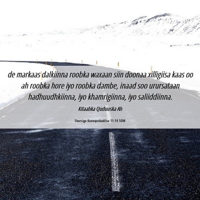 Picture 06 - Sharciga Kunoqoshadiisa 11:14 SOM - de markaas dalkiinna roobka waxaan siin doonaa - Bible Verse Picture