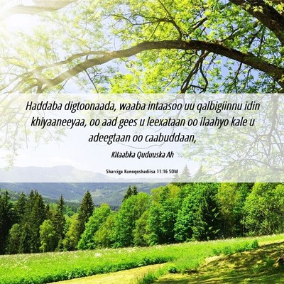 Picture 06 - Sharciga Kunoqoshadiisa 11:16 SOM - Haddaba digtoonaada, waaba intaasoo uu - Bible Verse Picture