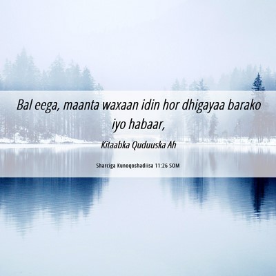 Picture 06 - Sharciga Kunoqoshadiisa 11:26 SOM - Bal eega, maanta waxaan idin hor dhigayaa barako - Bible Verse Picture