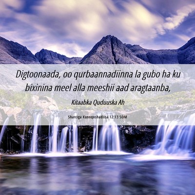 Picture 06 - Sharciga Kunoqoshadiisa 12:13 SOM - Digtoonaada, oo qurbaannadiinna la gubo ha ku - Bible Verse Picture