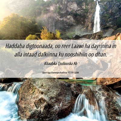 Picture 06 - Sharciga Kunoqoshadiisa 12:19 SOM - Haddaba digtoonaada, oo reer Laawi ha dayrinina - Bible Verse Picture