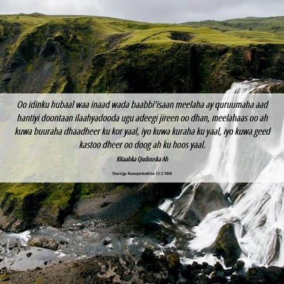 Picture 06 - Sharciga Kunoqoshadiisa 12:2 SOM - Oo idinku hubaal waa inaad wada baabbi'isaan - Bible Verse Picture