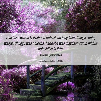 Picture 06 - Sharciga Kunoqoshadiisa 12:23 SOM - Laakiinse waxaa keliyahood hubsataan inaydaan - Bible Verse Picture