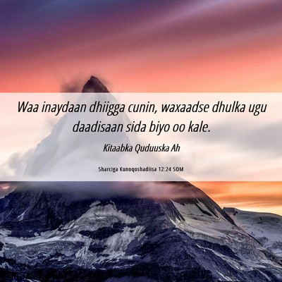 Picture 06 - Sharciga Kunoqoshadiisa 12:24 SOM - Waa inaydaan dhiigga cunin, waxaadse dhulka ugu - Bible Verse Picture