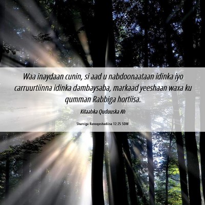 Picture 06 - Sharciga Kunoqoshadiisa 12:25 SOM - Waa inaydaan cunin, si aad u nabdoonaataan idinka - Bible Verse Picture