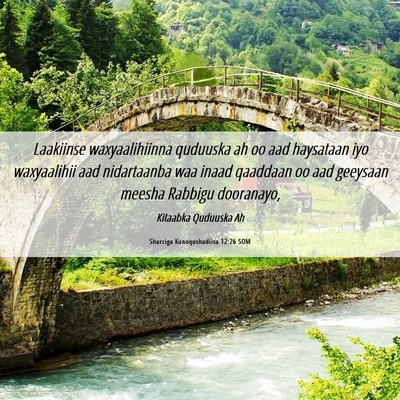 Picture 06 - Sharciga Kunoqoshadiisa 12:26 SOM - Laakiinse waxyaalihiinna quduuska ah oo aad - Bible Verse Picture