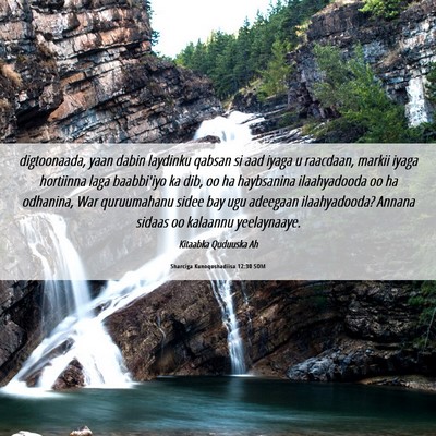 Picture 06 - Sharciga Kunoqoshadiisa 12:30 SOM - digtoonaada, yaan dabin laydinku qabsan si aad - Bible Verse Picture