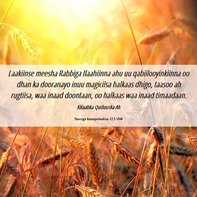 Picture 06 - Sharciga Kunoqoshadiisa 12:5 SOM - Laakiinse meesha Rabbiga Ilaahiinna ahu uu - Bible Verse Picture