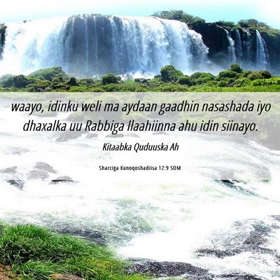 Picture 06 - Sharciga Kunoqoshadiisa 12:9 SOM - waayo, idinku weli ma aydaan gaadhin nasashada - Bible Verse Picture