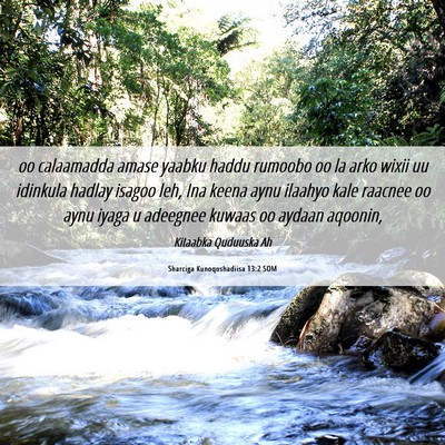 Picture 06 - Sharciga Kunoqoshadiisa 13:2 SOM - oo calaamadda amase yaabku haddu rumoobo oo la - Bible Verse Picture