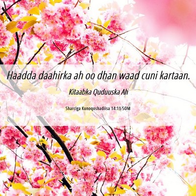 Picture 06 - Sharciga Kunoqoshadiisa 14:11 SOM - Haadda daahirka ah oo dhan waad cuni - Bible Verse Picture