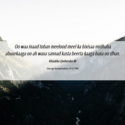 Picture 06 - Sharciga Kunoqoshadiisa 14:22 SOM - Oo waa inaad toban meelood meel ka bixisaa - Bible Verse Picture