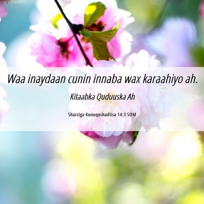Picture 06 - Sharciga Kunoqoshadiisa 14:3 SOM - Waa inaydaan cunin innaba wax karaahiyo - Bible Verse Picture