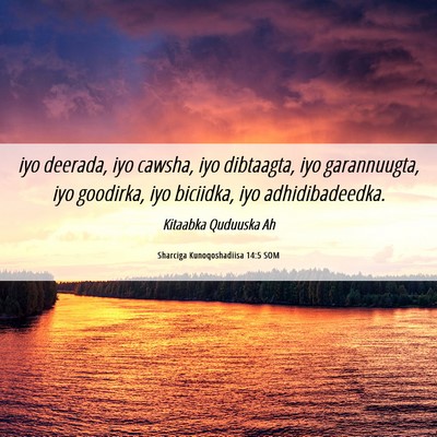 Picture 06 - Sharciga Kunoqoshadiisa 14:5 SOM - iyo deerada, iyo cawsha, iyo dibtaagta, iyo - Bible Verse Picture