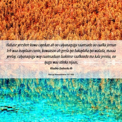 Picture 06 - Sharciga Kunoqoshadiisa 14:7 SOM - Habase yeeshee kuwa caynkan ah oo calyanaqsiga - Bible Verse Picture