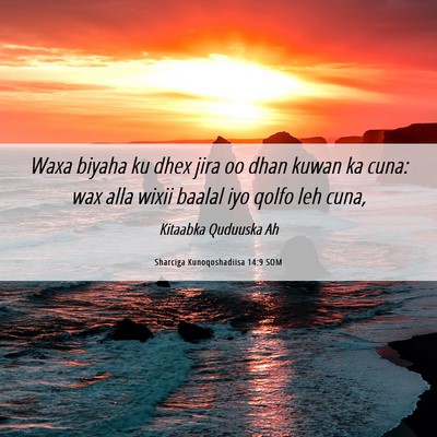Picture 06 - Sharciga Kunoqoshadiisa 14:9 SOM - Waxa biyaha ku dhex jira oo dhan kuwan ka cuna: - Bible Verse Picture
