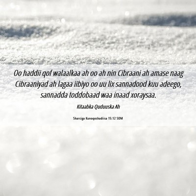 Picture 06 - Sharciga Kunoqoshadiisa 15:12 SOM - Oo haddii qof walaalkaa ah oo ah nin Cibraani ah - Bible Verse Picture