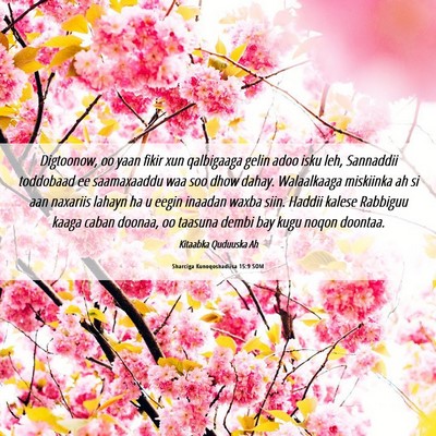 Picture 06 - Sharciga Kunoqoshadiisa 15:9 SOM - Digtoonow, oo yaan fikir xun qalbigaaga gelin - Bible Verse Picture