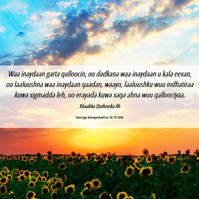 Picture 06 - Sharciga Kunoqoshadiisa 16:19 SOM - Waa inaydaan garta qalloocin, oo dadkana waa - Bible Verse Picture